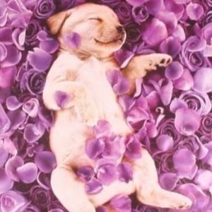 Meet your Posher, Alissa